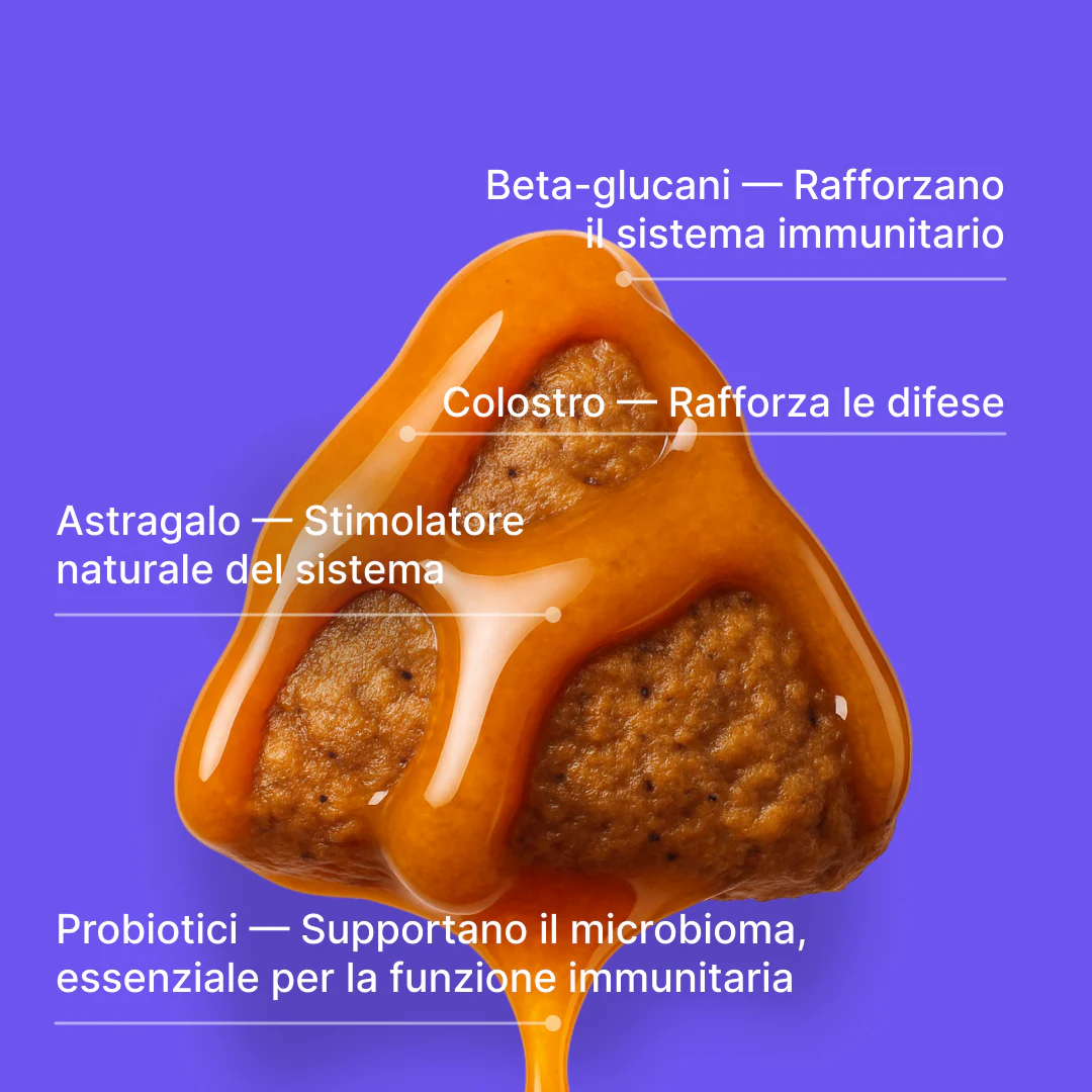 Immagine prodotto 3